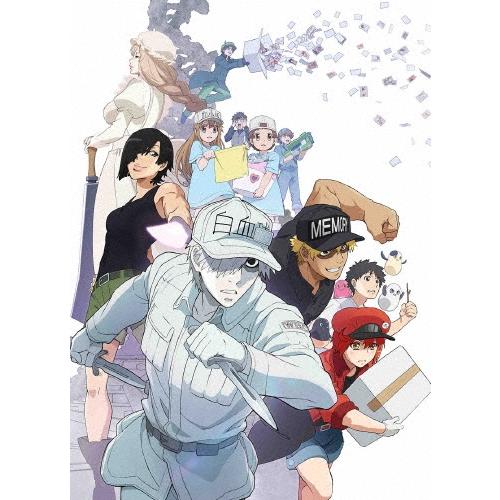特別上映版「はたらく細胞!!」最強の敵、再び。体の中は""腸""大騒ぎ! ［DVD+CD］＜完全生産限定版＞ DVD | 