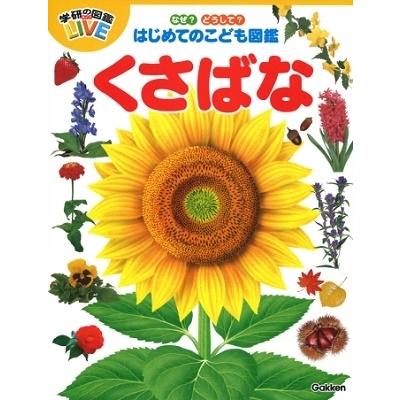 北澤哲弥 なぜ どうして はじめてのこども図鑑 くさばな Book タワーレコード Paypayモール店 通販 Paypayモール
