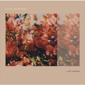 Chihei Hatakeyama レイト・スプリング CD | 
