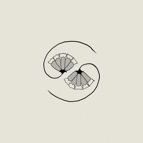 Godspeed You!Black Emperor G_d's Pee AT STATE'S END! CD | 
