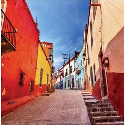 Various Artists メキシコ音樂のススメ: 120 Minutes of Mexican Music＜タワーレコード限定＞ CD |  | 01