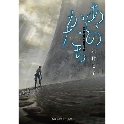 辻村七子 あいのかたち マグナ・キヴィタス Book | 