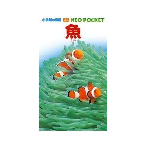 井田齊 小学館の図鑑 NEO POCKET -ネオぽけっと- 魚 Book | 
