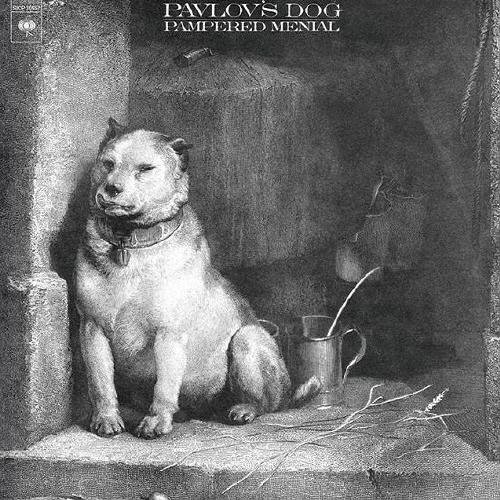 Pavlov's Dog 禁じられた掟＜完全生産限定盤＞ Blu-spec CD2 | 