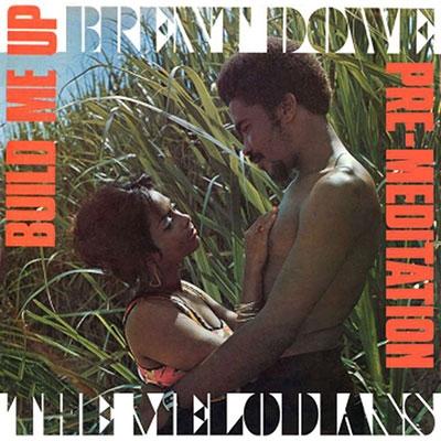 Brent Dowe & The Melodians Build Me Up & Pre-Meditation CD | 