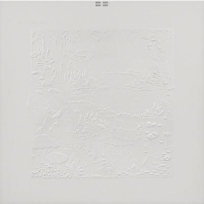 Bon Iver Bon Iver CD | 