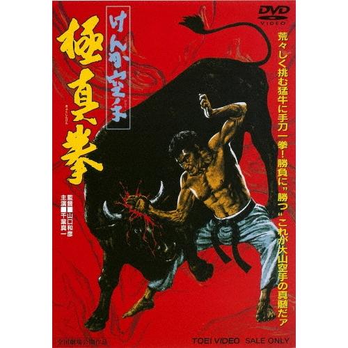 けんか空手 極真拳 DVD | 