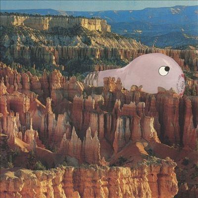 Sana Shenai Warm Former LP | 