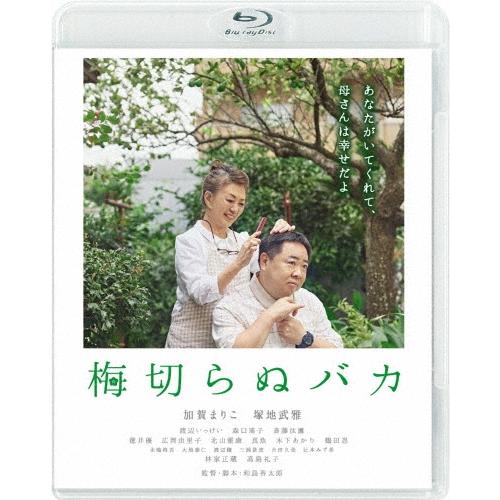 梅切らぬバカ Blu-ray Disc | 
