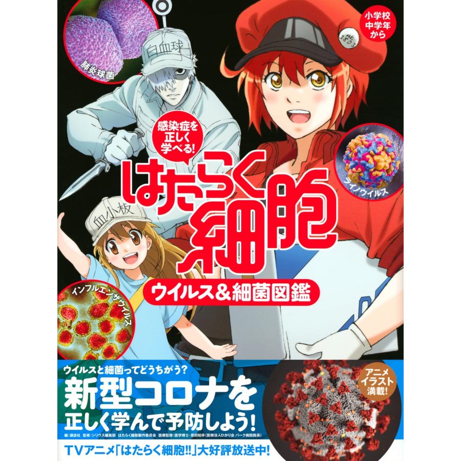 講談社 感染症を正しく学べる! はたらく細胞 ウイルス&細菌図鑑 Book |  | 01