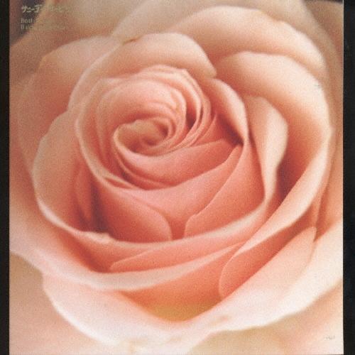 サニーデイ・サービス Best Flower -B side collection- CD | 