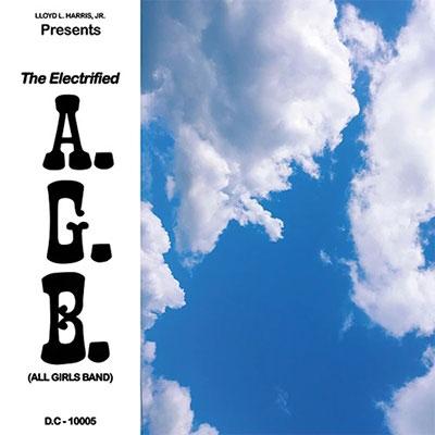 The Electrified A.G.B. Fly Away 12inch Single | 