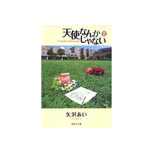 矢沢あい 天使なんかじゃない 2 COMIC | 