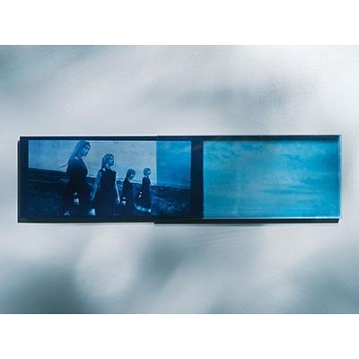 櫻坂46 As you know? ［CD+Blu-ray Disc+フォトブックレット］＜完全
