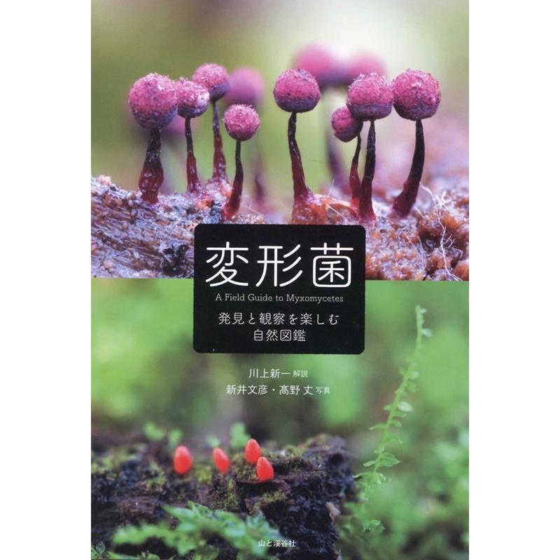 川上新一 変形菌 発見と観察を楽しむ大人の自然図鑑 Book | 
