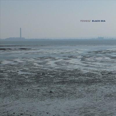 Fennesz Black Sea ［10inch］ LP | 