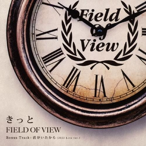 FIELD OF VIEW きっと 12cmCD Single | 