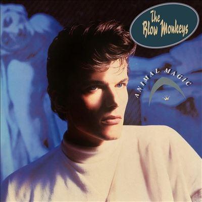 Blow Monkeys Animal Magic LP