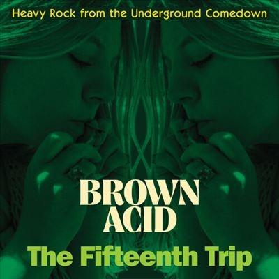 Various Artists Brown Acid: The Fifteenth Trip LP | 