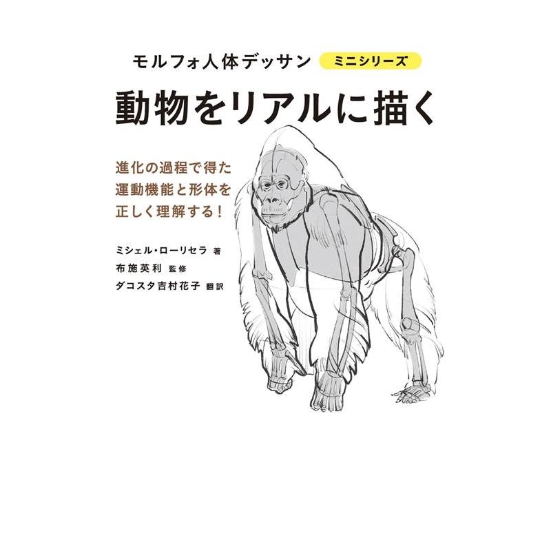 ミシェル・ローリセラ 動物をリアルに描く モルフォ人体デッサンミニシリーズ Book | 