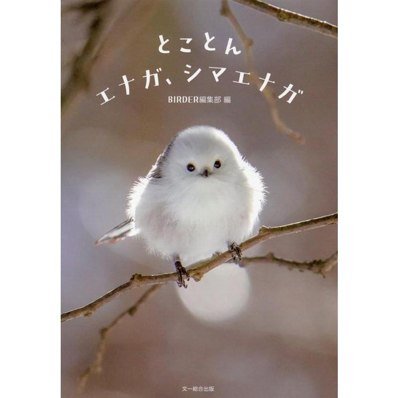 BIRDER編集部 とことんエナガ、シマエナガ Book | 