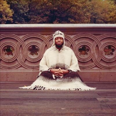 Laraaji Segue To Infinity ［4LP+Book］ LP | 