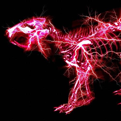 SUPER BEAVER グラデーション ［CD+DVD］＜初回生産限定盤B＞ 12cmCD Single ※特典あり | 