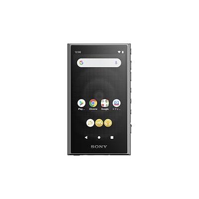 SONY WALKMAN NW-A306 グレー Accessoriesの画像