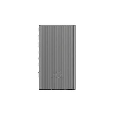 SONY WALKMAN NW-A306 グレー Accessoriesの画像