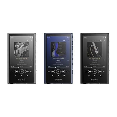 SONY WALKMAN NW-A306 グレー Accessoriesの画像