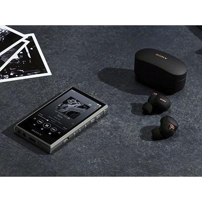 SONY WALKMAN NW-A307 グレー Accessoriesの画像