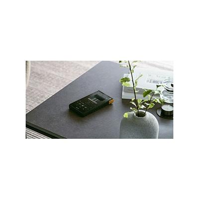 SONY WALKMAN NW-ZX707 Accessories |  | 04