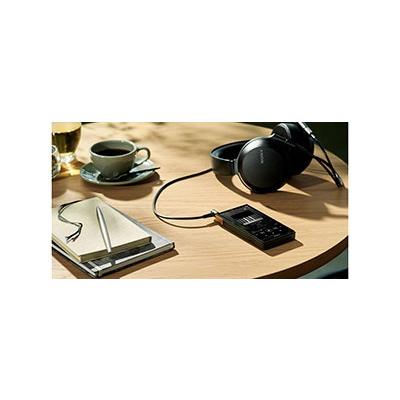 SONY WALKMAN NW-ZX707 Accessories |  | 05