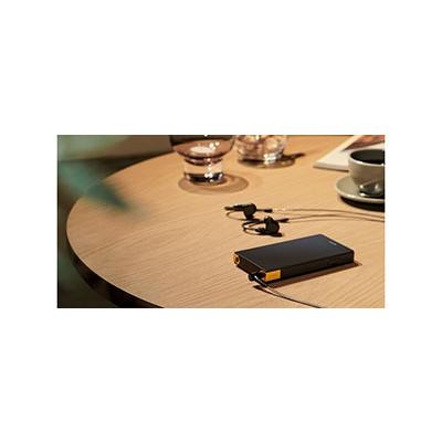 SONY WALKMAN NW-ZX707 Accessories |  | 06