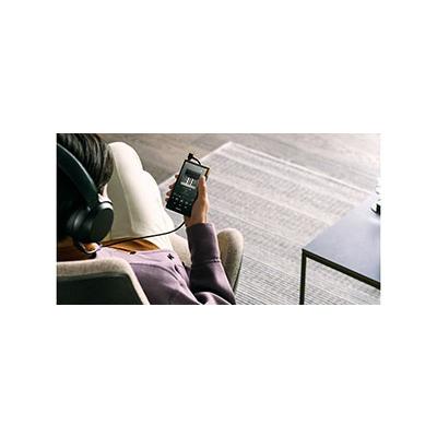 SONY WALKMAN NW-ZX707 Accessories |  | 07