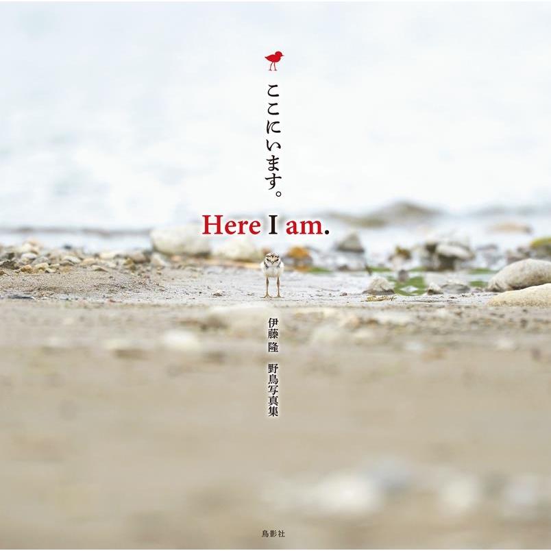 伊藤隆 Here I am. ここにいます。 伊藤隆 野鳥写真集 Book | 