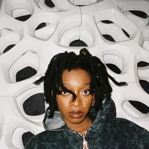 Little Simz ノー・サンキュー CD | 