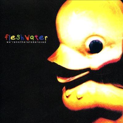 Fleshwater We're Not Here to Be Loved CD | 