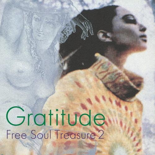 Various Artists Gratitude 〜 SUBURBIA meets ULTRA-VYBE ""Free Soul Treasure 2""＜限定生産盤＞ LP | 