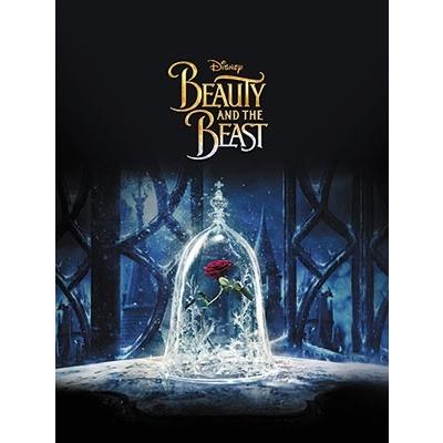 美女と野獣 ミュージカル・MovieNEXコレクション ［2Blu-ray Disc+2DVD+2CD］＜数量限定版＞ Blu-ray Disc ※特典ありの画像