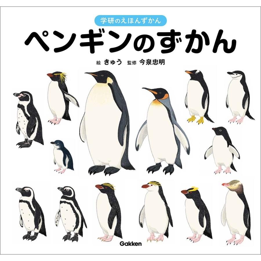 今泉忠明 ペンギンのずかん Book | 