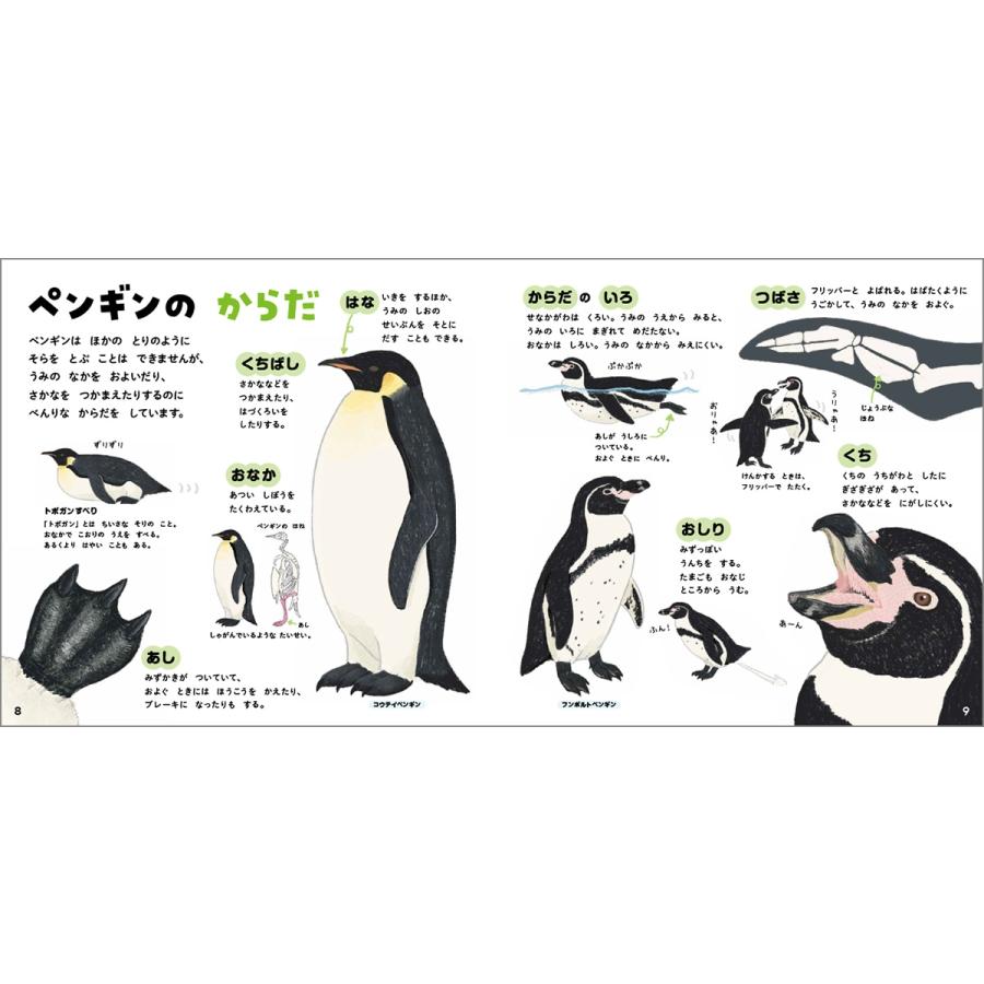 今泉忠明 ペンギンのずかん Book |  | 02