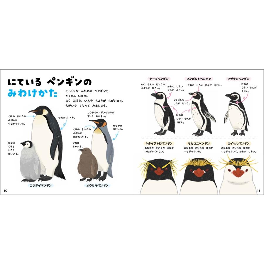 今泉忠明 ペンギンのずかん Book |  | 03