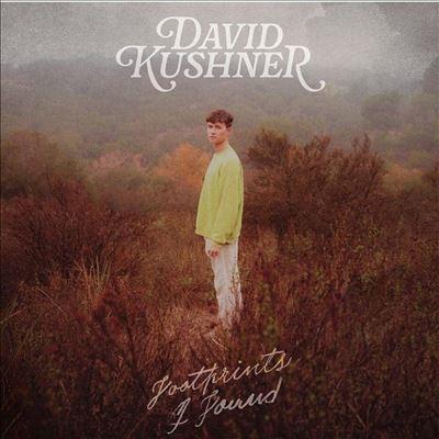 David Kushner Footprints I Found＜限定盤/Silver Metallic/Brown-Yellow Splatter Vinyl＞ LP | 