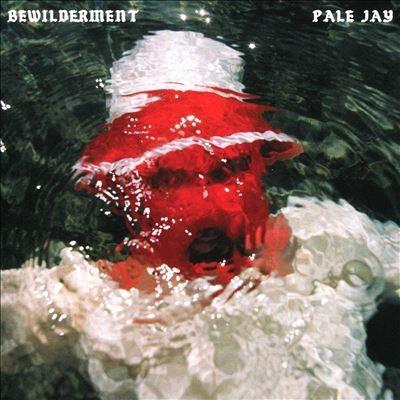Pale Jay Bewilderment CD | 