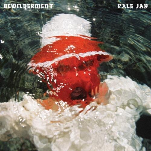 Pale Jay Bewilderment CD | 