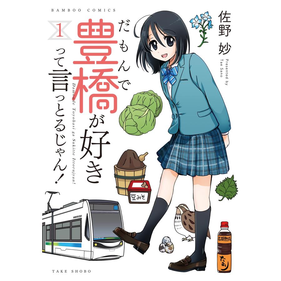 佐野妙 だもんで豊橋が好きって言っとるじゃん! (1) COMIC | 