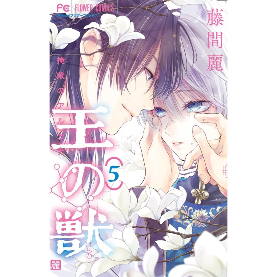 藤間麗 王の獣 (5) COMIC | 
