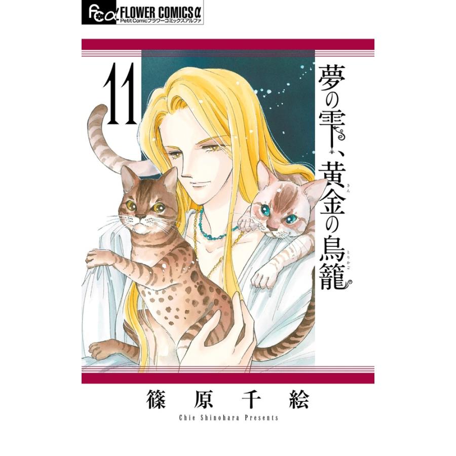 篠原千絵 夢の雫、黄金の鳥籠 (11) COMIC | 