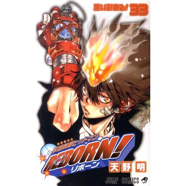 天野明 家庭教師ヒットマンREBORN! 33 COMIC | 